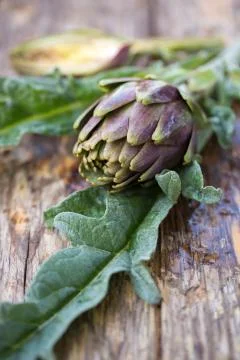 Artichokes Stockfoto's