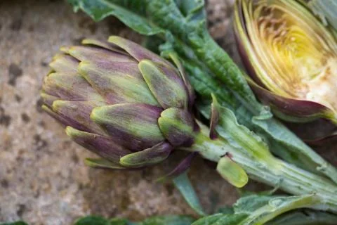 Artichokes Stock Photos