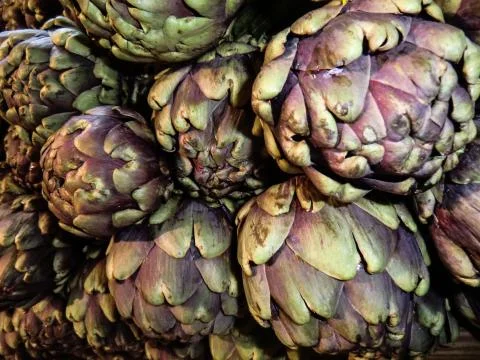Artichokes Stock Photos