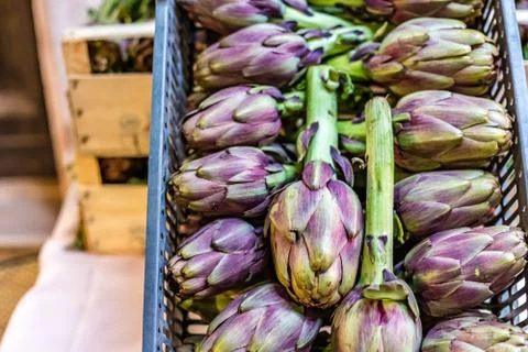 Artichokes Stock Photos