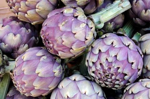 Artichokes Stock Photos