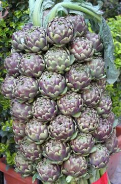Artichokes Stock Photos