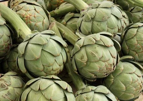 Artichokes Stock Photos