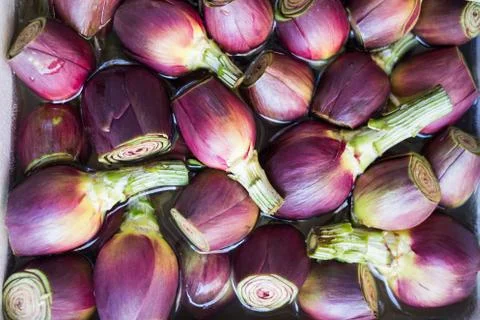 Artichokes top view. Stock Photos