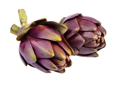 Artichokes on white background Stock Photos