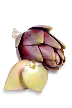 Artichokes on white background Stock Photos