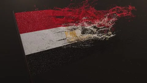 Article flag animation of Egypt. Waving flag video of Egypt Video stock 315378864