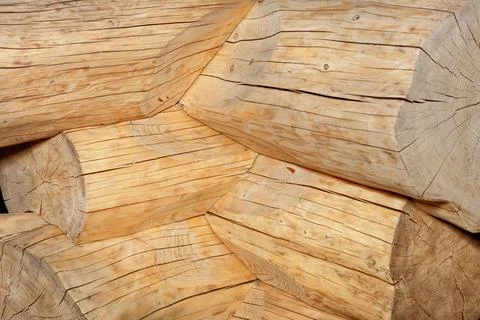 Articulation of logs without bark in the shape of an angle when building a lo Fotos de archivo