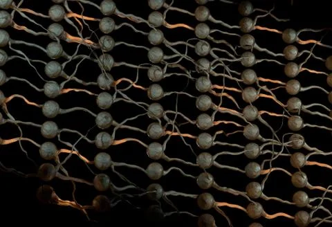 Artifical neural net. Neuron network with connection links. 3d illustration Stock Illustration