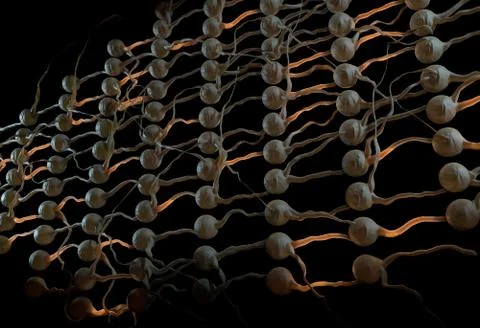 Artifical neural net. Neuron network with connection links. 3d illustration Stock Illustration