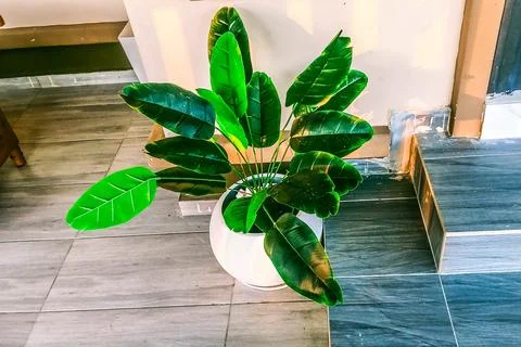Artificial banana tree Stock Photos