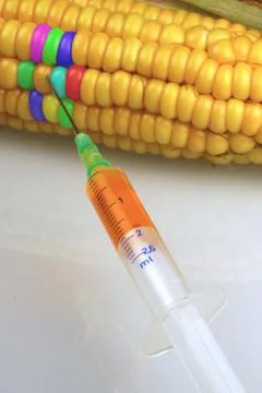 Artificial bio biological cereal code copy eat 스톡 사진