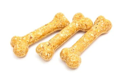 Artificial a bone Stock Photos