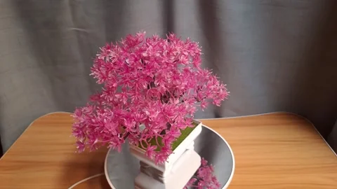 Artificial bonsai tree with vibrant pink leaves in a white square ceramic pot ro Stock Footage 341232328