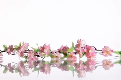 An artificial branch of apple blossoms bouncing on a smooth surface. 写真素材