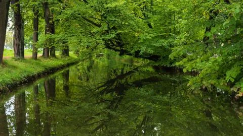 Artificial canal with water, which reflects green foliage and trees Stock Photos