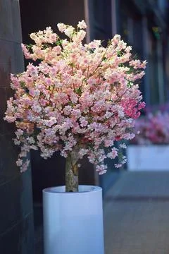 An artificial cherry blossom tree made from fabric and synthetic materials .. Stock Photos