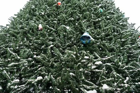 Artificial christmas tree branches with decorated. branches of a large tree m Stock Photos