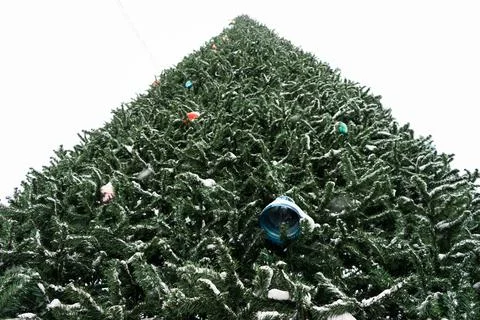 Artificial christmas tree branches with decorated. branches of a large tree m Stock Photos