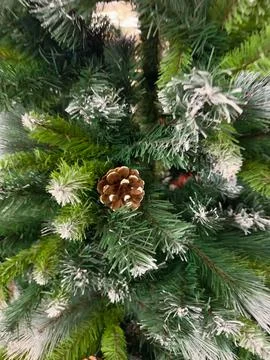 Artificial Christmas Tree Branches with Pinecone and Snow Stock Photos