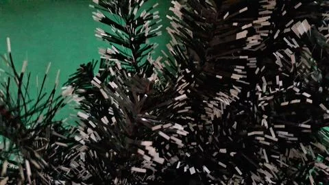 Artificial christmas tree branches with white tips and green background 写真素材