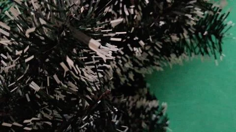 Artificial christmas tree branches with white tips and green background 写真素材
