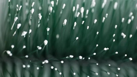 Artificial Christmas tree rotating, macro. Stock Footage 256157022