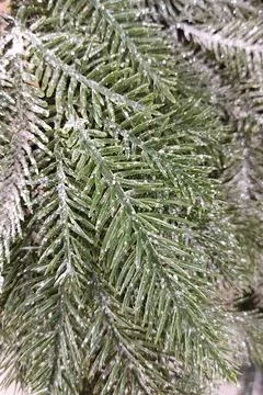 Artificial Christmas tree snowy branches texture. Close up fake coniferous tree Stock Photos