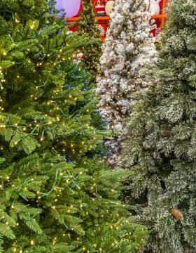 Artificial Christmas Trees at Display Stock Photos