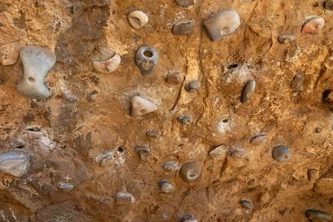 Artificial climbing wall surface with diverse bouldering holds 库存照片
