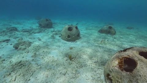 Artificial coral reef balls in caribbean Stock Footage 72653780