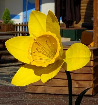 Artificial Daffodil Flower Stock Photos