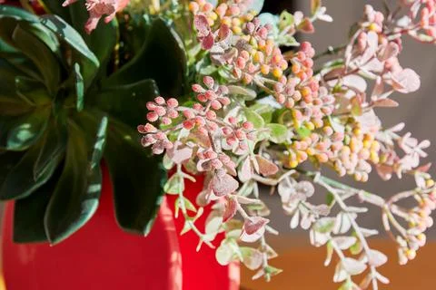 Artificial decorative flowers on the table in the kitchen Stock Photos