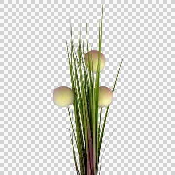 Artificial Decorative Grass with Fluffy Pom Pom Flowers Isolated PNG Stock Photos