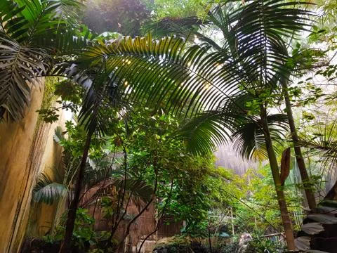 Artificial deep jungle Stock Photos