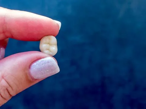 Artificial dental crown held between fingers on blue background Foto stock