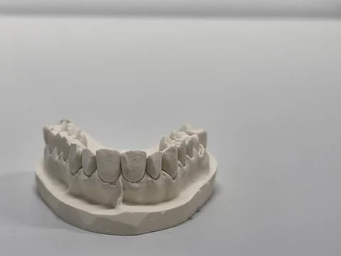 Artificial denture of human teeth of lower jaw Stock Photos