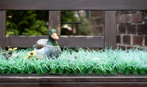 An artificial duck sitting on plastic grass on a bench. Stock Photos