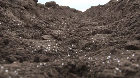 Artificial fertilizer Vidéo 37064711