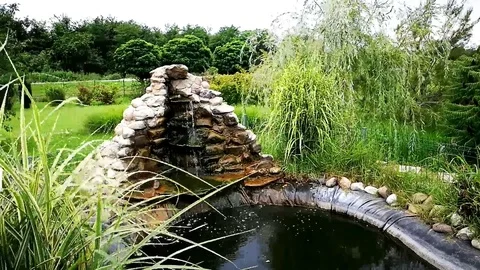 Artificial fish pond with small waterfall Stock-Footage 94202567
