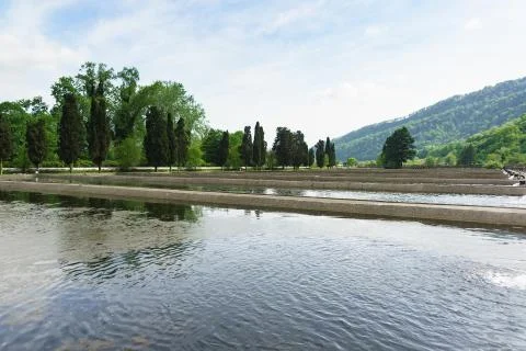 Artificial fish ponds on the background of cypresses and mountains Stock Photos