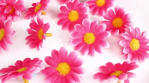 Artificial flower heads looping texture pattern closeup video Stock Footage 99016539