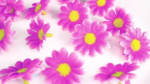Artificial flower heads looping texture pattern closeup video Stock-Footage 99016624