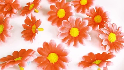 Artificial flower heads looping texture pattern closeup video Stock-Footage 99016699