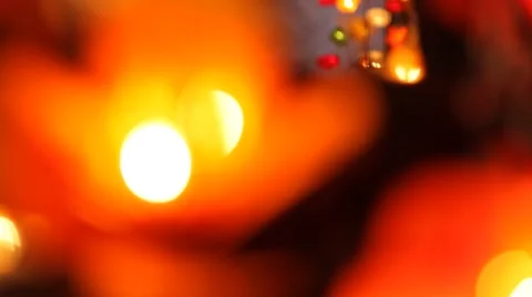 Artificial flower. Input 動画素材 45423186