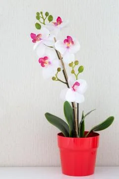 Artificial flower isolated on white background Stock Photos