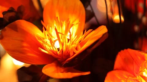 Artificial flower. Output Vidéo 45423292