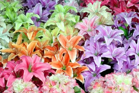 Artificial flower Stock Photos