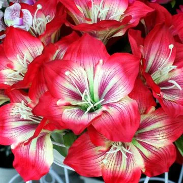 Artificial flower Stock Photos