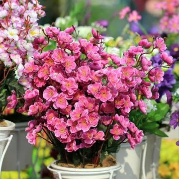 Artificial flower Stock Photos